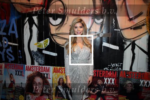 Amsterdam 26 maart 2019
Presentatie Amsterdam XXXL bij de Harbour Club. Stephanie Tency kwam met vriend