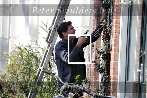Amsterdam 30 maart 2019
Twan Huys en zijn vrouw zijn aan het klussen bij hun huis . Ze snoeien oa de struiken.