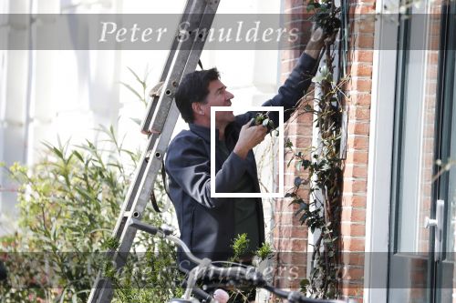 Amsterdam 30 maart 2019
Twan Huys en zijn vrouw zijn aan het klussen bij hun huis . Ze snoeien oa de struiken.