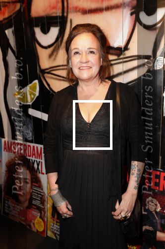 Amsterdam 26 maart 2019
Presntatie Amsterdam XXXL in the Harbour Club. Xandra Brood