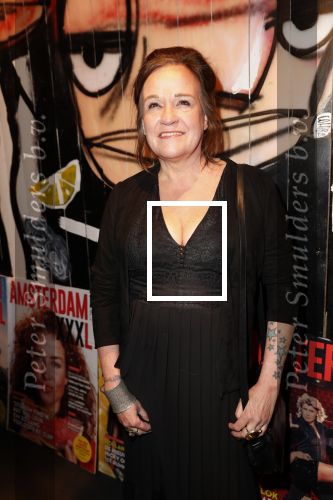 Amsterdam 26 maart 2019
Presntatie Amsterdam XXXL in the Harbour Club. Xandra Brood
