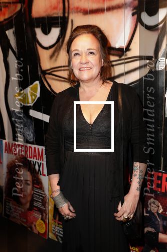 Amsterdam 26 maart 2019
Presntatie Amsterdam XXXL in the Harbour Club. Xandra Brood
