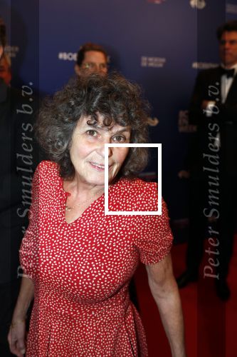 Amsterdam 22 maart 2019
Boekenbal in de amsterdamse schouwburg. Yvonne Kroonenberg
