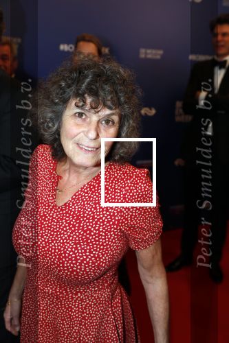 Amsterdam 22 maart 2019
Boekenbal in de amsterdamse schouwburg. Yvonne Kroonenberg