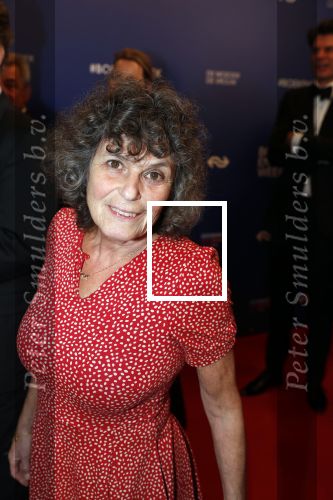 Amsterdam 22 maart 2019
Boekenbal in de amsterdamse schouwburg. Yvonne Kroonenberg