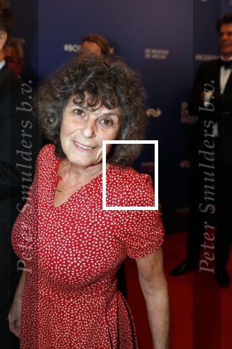 Amsterdam 22 maart 2019
Boekenbal in de amsterdamse schouwburg. Yvonne Kroonenberg
