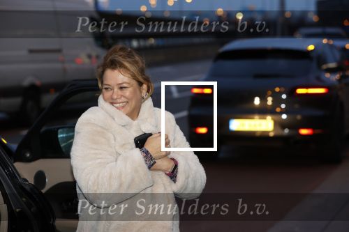 Schiphol 19 maart 2020
Romy Monteiro en haar vriend Jasper Suyk arriveren vanuit bangkok op Schiphol . Moeder Antje en haar partner Dennis halen ze op . Ook hun hondje is erbij.