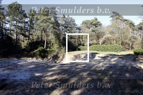Huizen 31 maart 2020
Doutzen Kroes en Sunnery james gaan hier hun nieuwe huis bouwen.