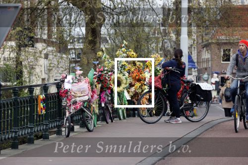 Amsterdam 13 april 2020
Fietsen vol met bloemen tegen over het rijksmuseum