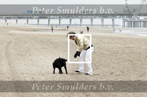 Scheveningen 20 maart 2020
Frank en Rogier met hun honden op het strand.