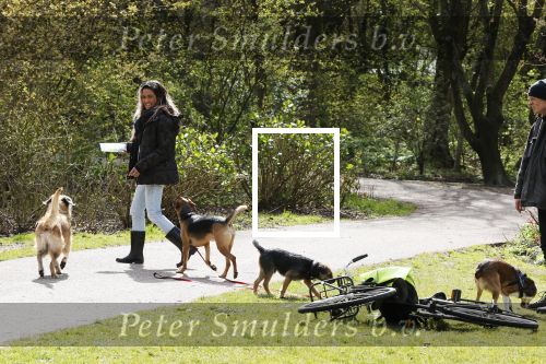 Amsterdam 1 april 2020
Priscilla Nasi ( dochter Patty Brard) heeft cupcakes gebakken voor de hondjes in het park.