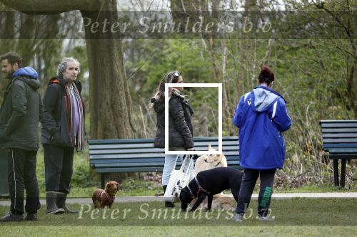 Amsterdam 1 april 2020
Priscilla Nasi ( dochter Patty Brard) heeft cupcakes gebakken voor de hondjes in het park.