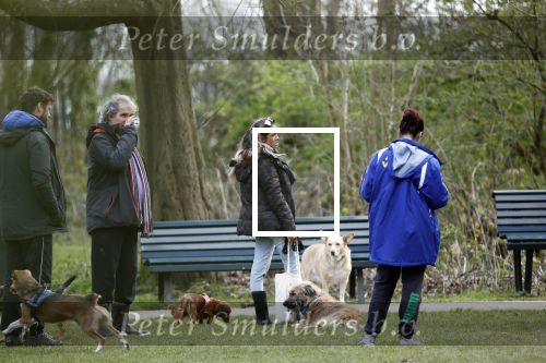 Amsterdam 1 april 2020
Priscilla Nasi ( dochter Patty Brard) heeft cupcakes gebakken voor de hondjes in het park.
