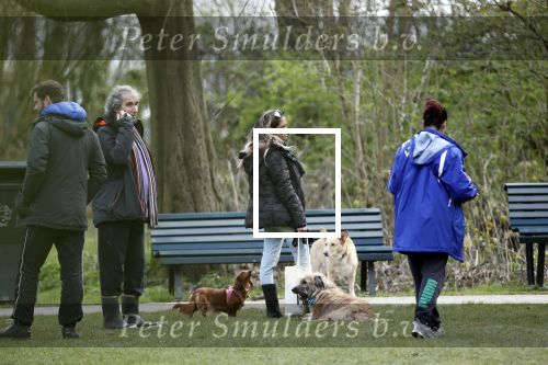 Amsterdam 1 april 2020
Priscilla Nasi ( dochter Patty Brard) heeft cupcakes gebakken voor de hondjes in het park.