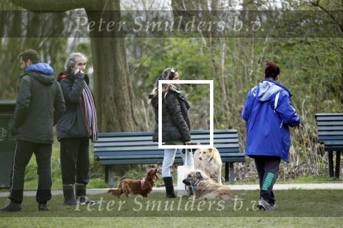 Amsterdam 1 april 2020
Priscilla Nasi ( dochter Patty Brard) heeft cupcakes gebakken voor de hondjes in het park.