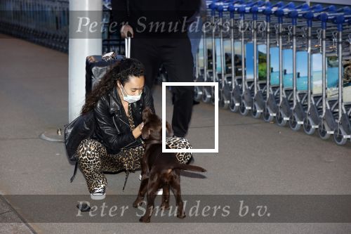 Schiphol 19 maart 2020
Romy Monteiro en haar vriend Jasper Suyk arriveren vanuit bangkok op Schiphol . Moeder Antje en haar partner Dennis halen ze op . Ook hun hondje is erbij.