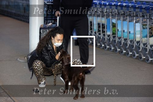 Schiphol 19 maart 2020
Romy Monteiro en haar vriend Jasper Suyk arriveren vanuit bangkok op Schiphol . Moeder Antje en haar partner Dennis halen ze op . Ook hun hondje is erbij.