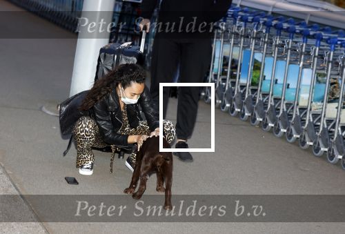 Schiphol 19 maart 2020
Romy Monteiro en haar vriend Jasper Suyk arriveren vanuit bangkok op Schiphol . Moeder Antje en haar partner Dennis halen ze op . Ook hun hondje is erbij.