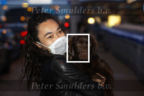 Schiphol 19 maart 2020
Romy Monteiro en haar vriend Jasper Suyk arriveren vanuit bangkok op Schiphol . Moeder Antje en haar partner Dennis halen ze op . Ook hun hondje is erbij.