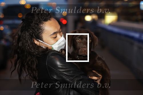 Schiphol 19 maart 2020
Romy Monteiro en haar vriend Jasper Suyk arriveren vanuit bangkok op Schiphol . Moeder Antje en haar partner Dennis halen ze op . Ook hun hondje is erbij.
