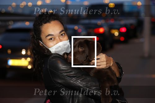 Schiphol 19 maart 2020
Romy Monteiro en haar vriend Jasper Suyk arriveren vanuit bangkok op Schiphol . Moeder Antje en haar partner Dennis halen ze op . Ook hun hondje is erbij.