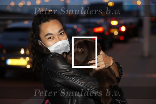 Schiphol 19 maart 2020
Romy Monteiro en haar vriend Jasper Suyk arriveren vanuit bangkok op Schiphol . Moeder Antje en haar partner Dennis halen ze op . Ook hun hondje is erbij.