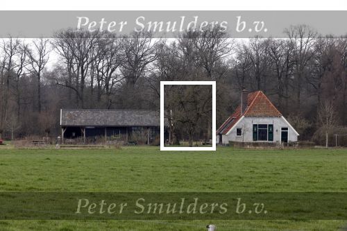 Eefde Amsterdam 25 maart 2021
Huis Appartement van Matthijs v Nieuwkerk