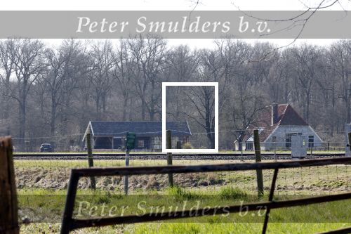 Eefde 30 maart 2021
Matthijs v Nieuwkerk bij zijn huis in Eefde