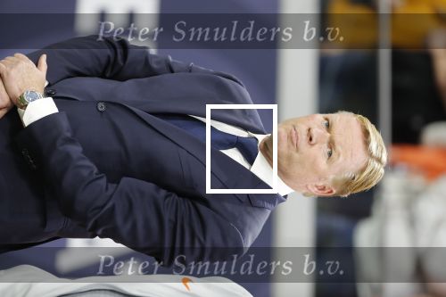 Amsterdam, 13 Oktober 2018
Nederland-Duitsland, eindstand 3-0