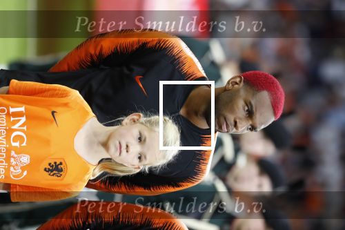 Amsterdam, 13 Oktober 2018
Nederland-Duitsland, eindstand 3-0