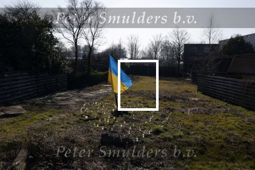 Amsterdam 10 maart 2022
Op het stuk bouwgrond van Ave Maria Putin en haar man is een Oekrainse vlag en een hart van lichtjes geplaatst