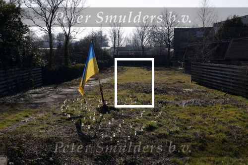 Amsterdam 10 maart 2022
Op het stuk bouwgrond van Ave Maria Putin en haar man is een Oekrainse vlag en een hart van lichtjes geplaatst