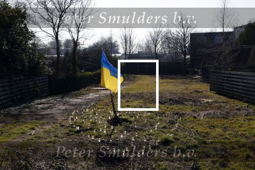 Amsterdam 10 maart 2022
Op het stuk bouwgrond van Ave Maria Putin en haar man is een Oekrainse vlag en een hart van lichtjes geplaatst