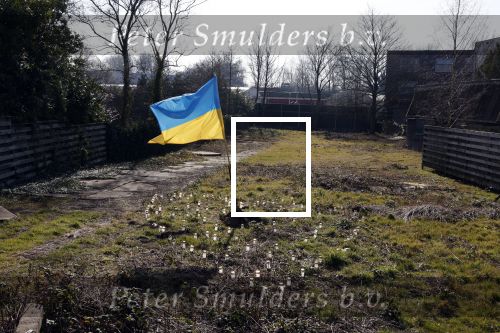 Amsterdam 10 maart 2022
Op het stuk bouwgrond van Ave Maria Putin en haar man is een Oekrainse vlag en een hart van lichtjes geplaatst