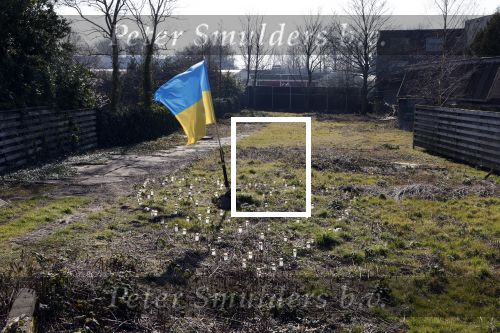 Amsterdam 10 maart 2022
Op het stuk bouwgrond van Ave Maria Putin en haar man is een Oekrainse vlag en een hart van lichtjes geplaatst