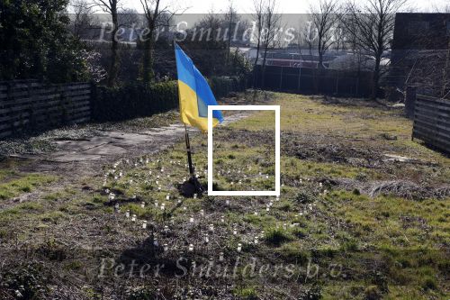 Amsterdam 10 maart 2022
Op het stuk bouwgrond van Ave Maria Putin en haar man is een Oekrainse vlag en een hart van lichtjes geplaatst