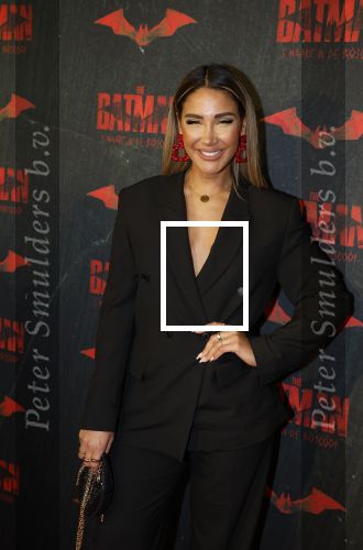 Amsterdam 28 februari 2022
Premiere Batman in Pathe Arena . Janice Blok