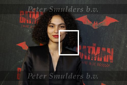 Amsterdam 28 februari 2022
Premiere Batman in Pathe Arena .
Julia Tan