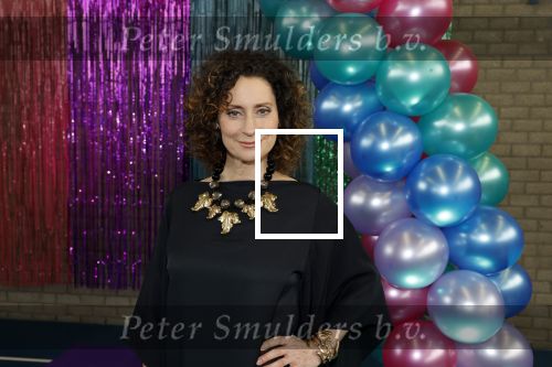 Maarssenbroek 1 maart 2022
Presentatie van Musical the Prom met rollen voor oa Pia Douwes Dennis Willekens Joke de Kruijf Barry Beijer Wieneke Remmers en Rogier Komproe. Hans Cornelissen is de producent.