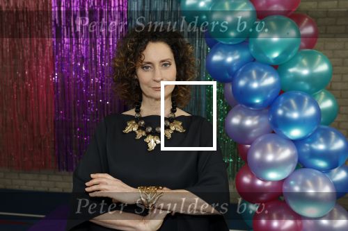 Maarssenbroek 1 maart 2022
Presentatie van Musical the Prom met rollen voor oa Pia Douwes Dennis Willekens Joke de Kruijf Barry Beijer Wieneke Remmers en Rogier Komproe. Hans Cornelissen is de producent.