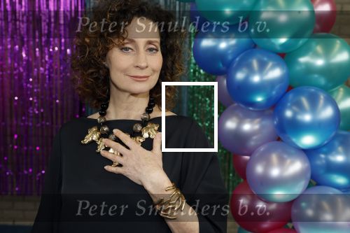 Maarssenbroek 1 maart 2022
Presentatie van Musical the Prom met rollen voor oa Pia Douwes Dennis Willekens Joke de Kruijf Barry Beijer Wieneke Remmers en Rogier Komproe. Hans Cornelissen is de producent.