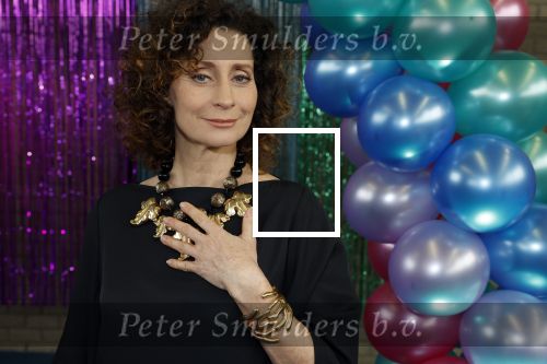 Maarssenbroek 1 maart 2022
Presentatie van Musical the Prom met rollen voor oa Pia Douwes Dennis Willekens Joke de Kruijf Barry Beijer Wieneke Remmers en Rogier Komproe. Hans Cornelissen is de producent.