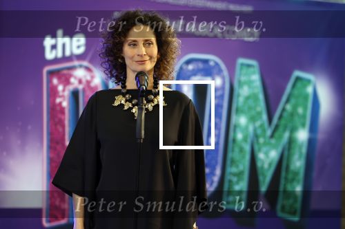 Maarssenbroek 1 maart 2022
Presentatie van Musical the Prom met rollen voor oa Pia Douwes Dennis Willekens Joke de Kruijf Barry Beijer Wieneke Remmers en Rogier Komproe. Hans Cornelissen is de producent.
