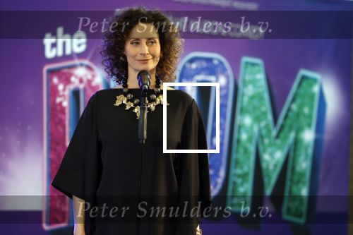 Maarssenbroek 1 maart 2022
Presentatie van Musical the Prom met rollen voor oa Pia Douwes Dennis Willekens Joke de Kruijf Barry Beijer Wieneke Remmers en Rogier Komproe. Hans Cornelissen is de producent.