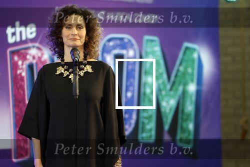 Maarssenbroek 1 maart 2022
Presentatie van Musical the Prom met rollen voor oa Pia Douwes Dennis Willekens Joke de Kruijf Barry Beijer Wieneke Remmers en Rogier Komproe. Hans Cornelissen is de producent.