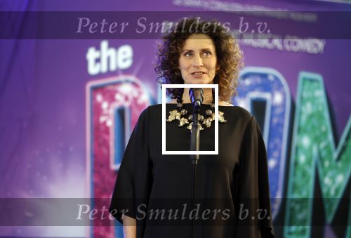 Maarssenbroek 1 maart 2022
Presentatie van Musical the Prom met rollen voor oa Pia Douwes Dennis Willekens Joke de Kruijf Barry Beijer Wieneke Remmers en Rogier Komproe. Hans Cornelissen is de producent.