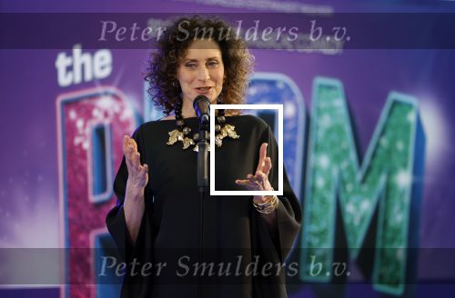 Maarssenbroek 1 maart 2022
Presentatie van Musical the Prom met rollen voor oa Pia Douwes Dennis Willekens Joke de Kruijf Barry Beijer Wieneke Remmers en Rogier Komproe. Hans Cornelissen is de producent.
