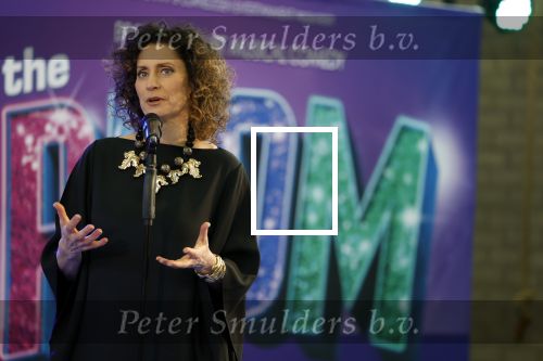 Maarssenbroek 1 maart 2022
Presentatie van Musical the Prom met rollen voor oa Pia Douwes Dennis Willekens Joke de Kruijf Barry Beijer Wieneke Remmers en Rogier Komproe. Hans Cornelissen is de producent.