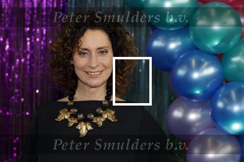 Maarssenbroek 1 maart 2022
Presentatie van Musical the Prom met rollen voor oa Pia Douwes Dennis Willekens Joke de Kruijf Barry Beijer Wieneke Remmers en Rogier Komproe. Hans Cornelissen is de producent.