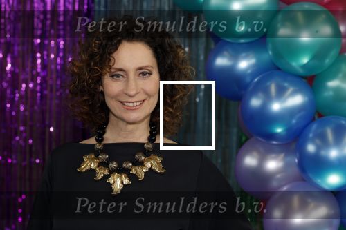 Maarssenbroek 1 maart 2022
Presentatie van Musical the Prom met rollen voor oa Pia Douwes Dennis Willekens Joke de Kruijf Barry Beijer Wieneke Remmers en Rogier Komproe. Hans Cornelissen is de producent.